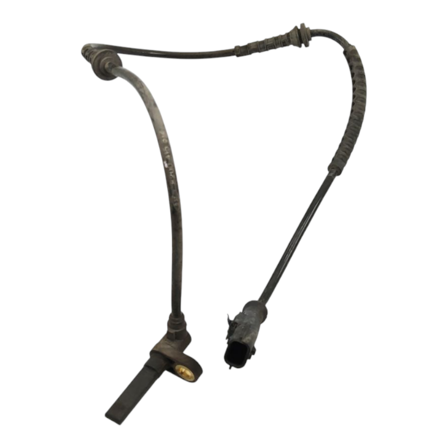 Sensore Giri Abs Anteriore Destro RENAULT TWINGO 2 Serie/WIND