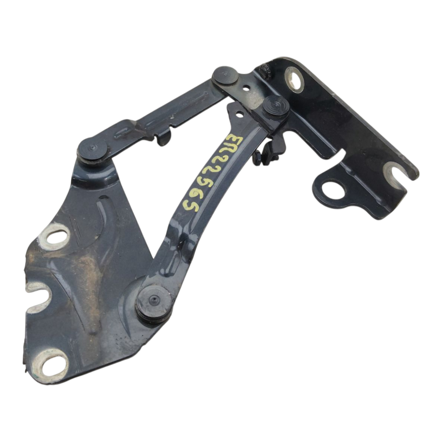 Cerniera Cofano Anteriore Sinistro VOLKSWAGEN GOLF PLUS 1 2 Serie
