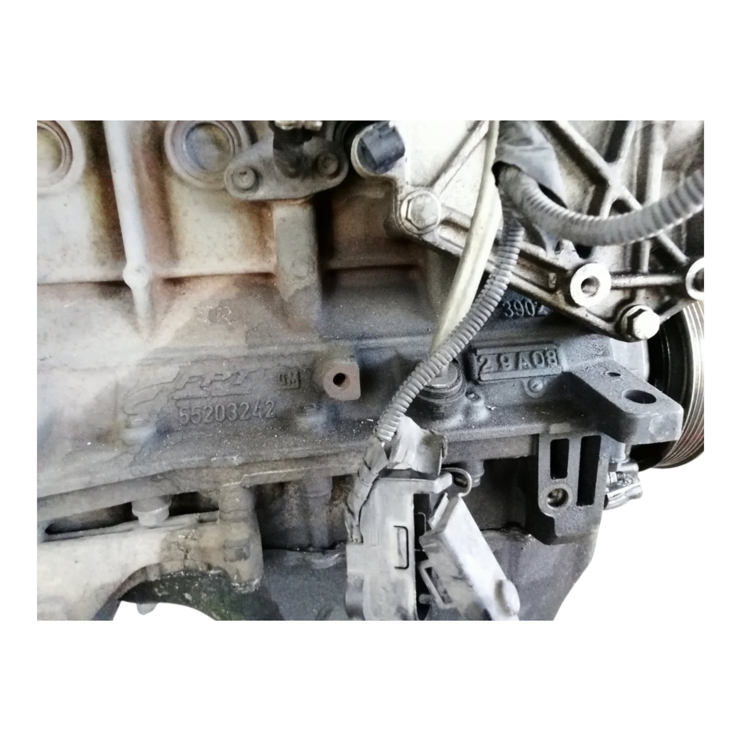 Motore 169A1000 FIAT 500 2 Serie/PANDA 169 1.3 Diesel 55 Kw