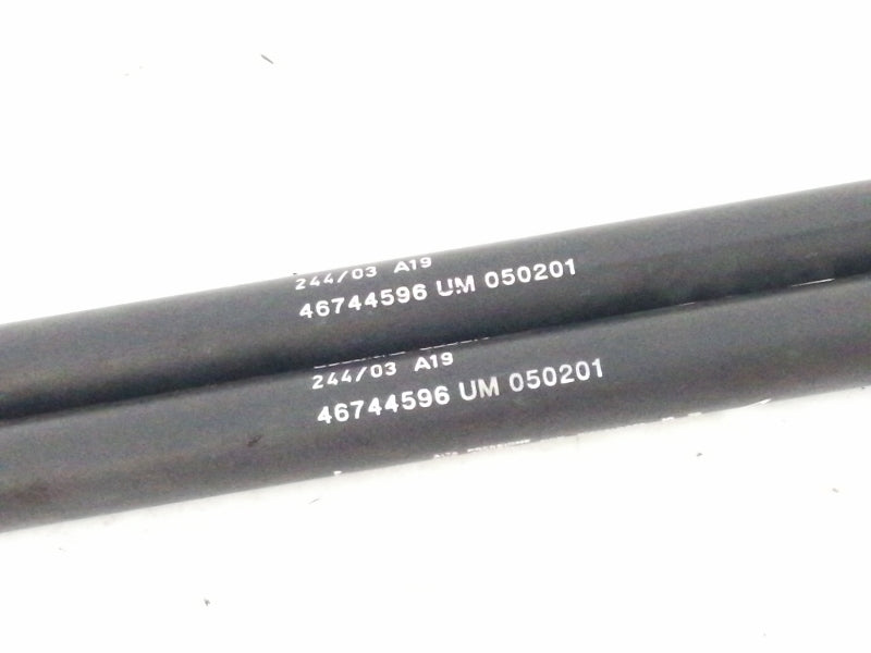 Ammortizzatori portellone posteriore fiat punto ( 1999 > 2009 ) coppia