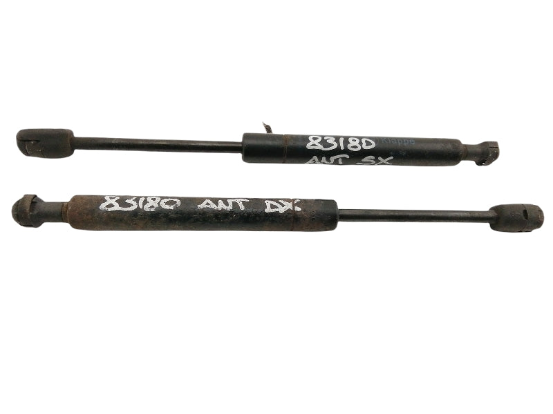 Ammortizzatori cofano anteriore bmw x3 e83 (2003 > 2011) coppia sinistra