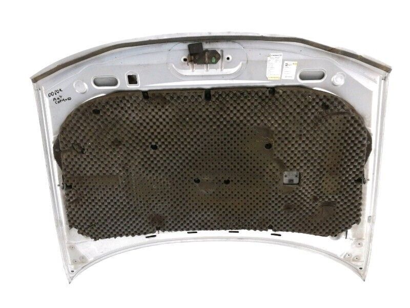 COFANO ANTERIORE TATA SAFARI (2005 - 2007) GRIGIO ORIGINALE