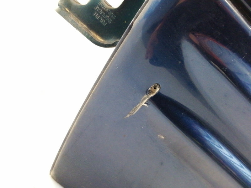 Porta anteriore sinistra jeep grand cherokee (2001 > 2005) sportello blu