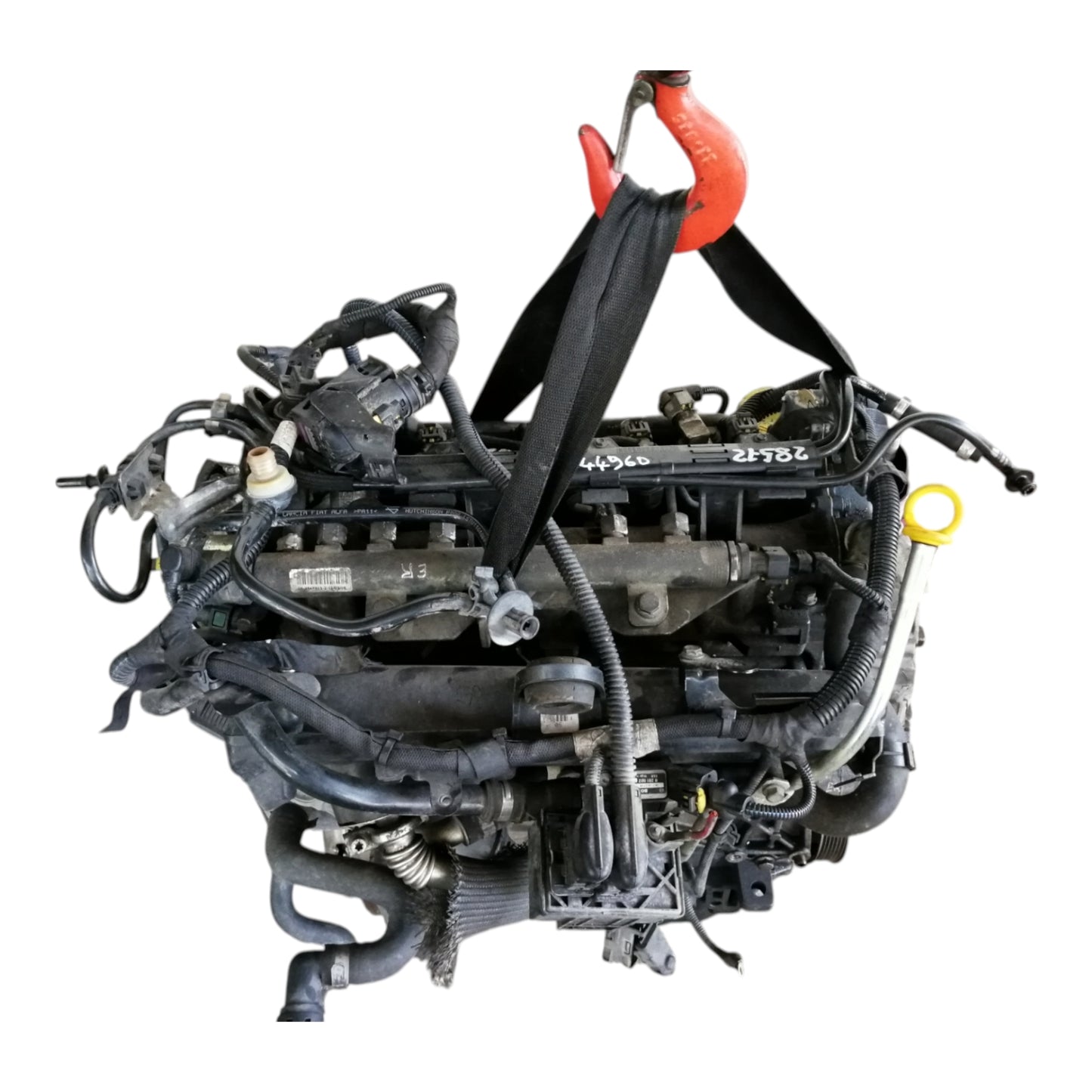 Motore 169A1000 FIAT 500 2 Serie/PANDA 169 1.3 Diesel 55 Kw