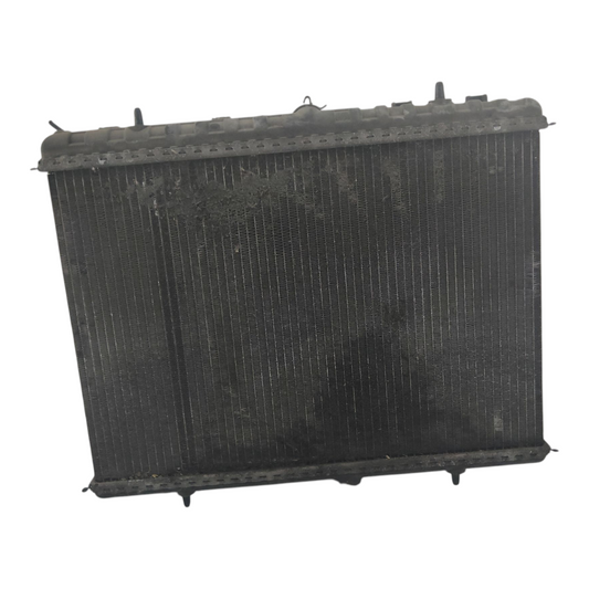 Radiatore Acqua Raffreddamento CITROEN JUMPY 3 Serie 1.6 2.0 Diesel