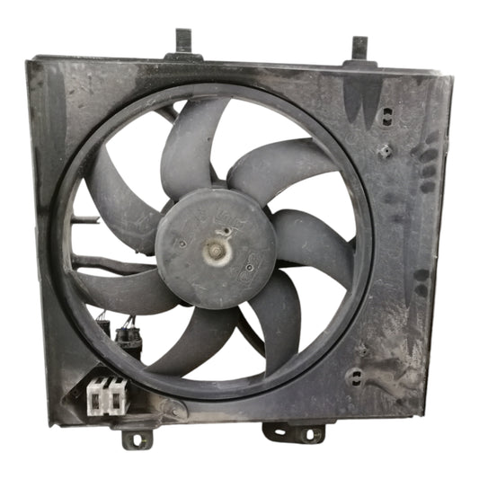 Elettroventola Ventola CITROEN C3 2 3 Serie/C3 PLURIEL/C2 Benzina Diesel
