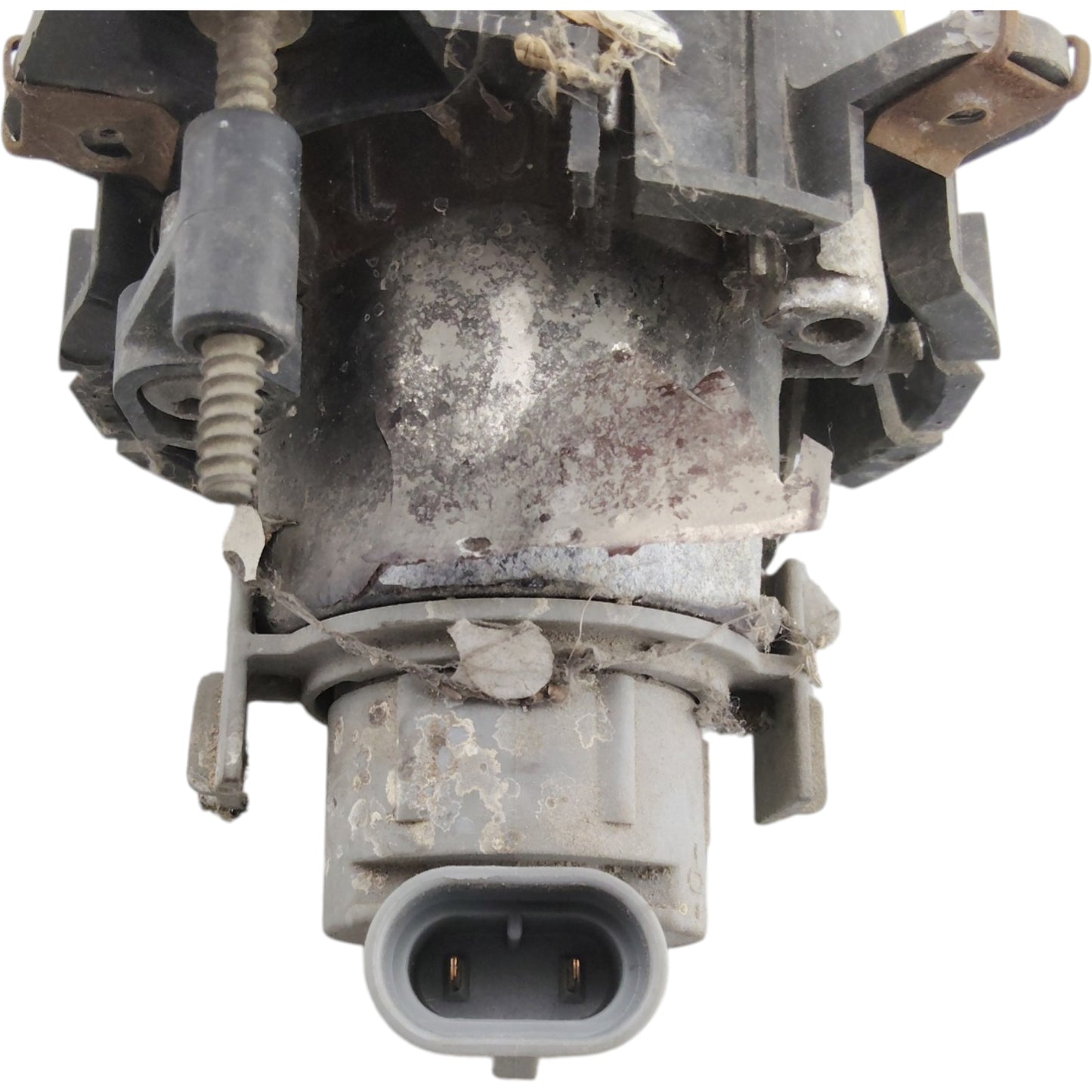 Fendinebbia Anteriore Sinistro MINI COOPER ONE R50 R52