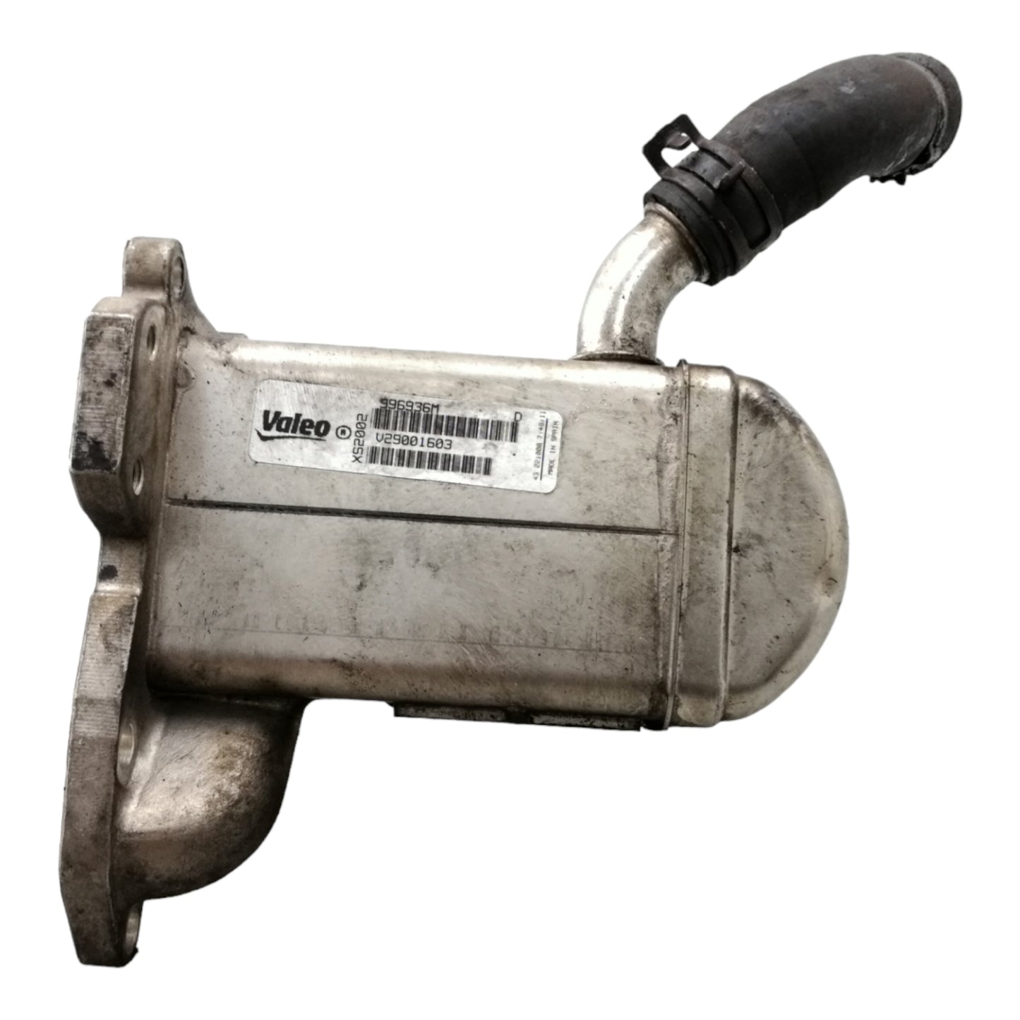 Radiatore Egr RENAULT MÉGANE 3 Serie 1.9 DCi    V29001603