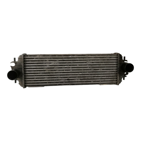 Intercooler Scambiatore Calore RENAULT TRAFIC 3 Serie 1.9 Diesel