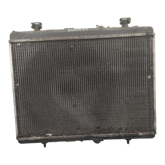 Radiatore Acqua Raffreddamento CITROEN C5 3 Serie/DS4 1 Serie