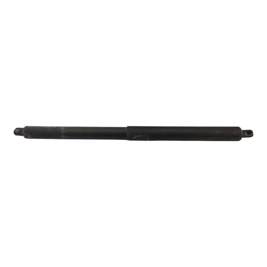 Ammortizzatore Portello Posteriore BMW X5 E70