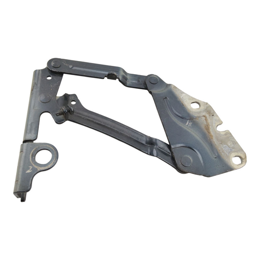 Cerniera Cofano Anteriore Sinistro VOLKSWAGEN GOLF PLUS 1 2 Serie