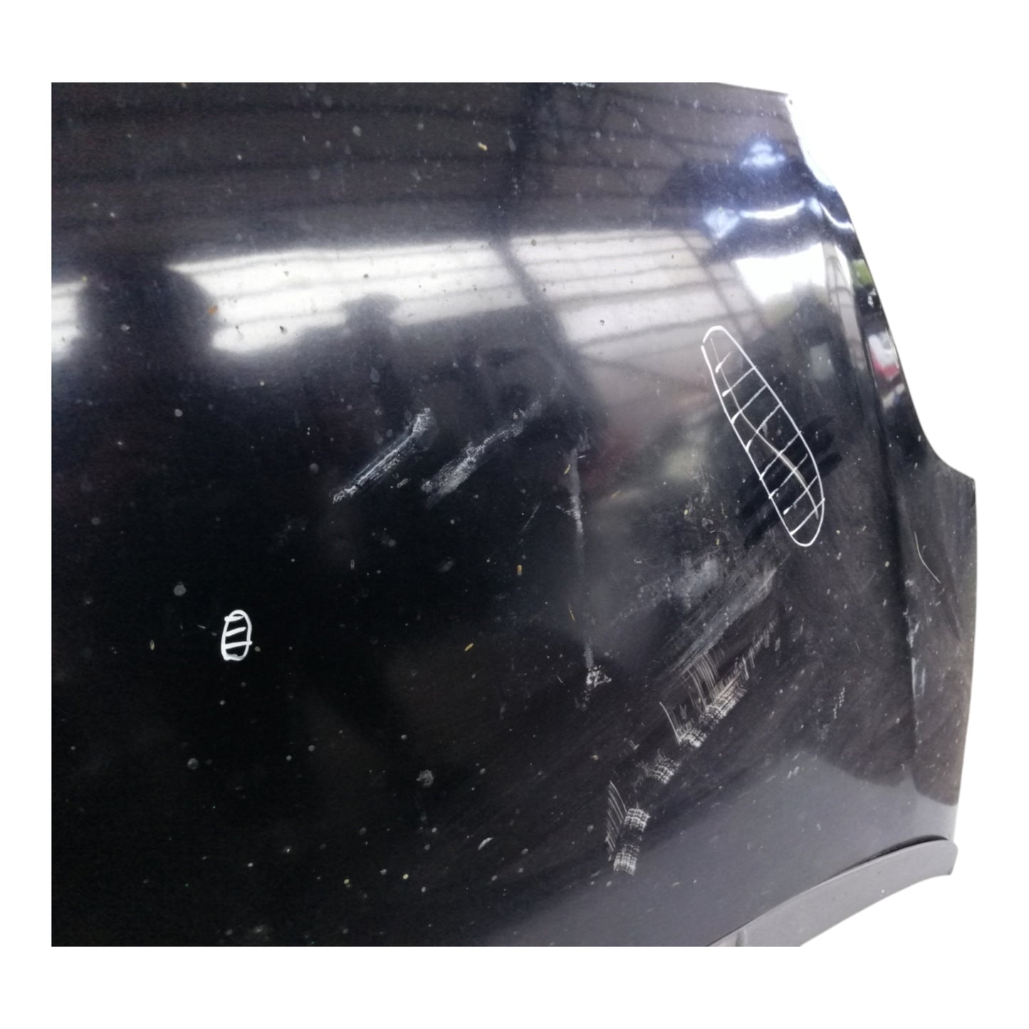 Cofano Anteriore FIAT GRANDE PUNTO/PUNTO 3 Serie/PUNTO EVO