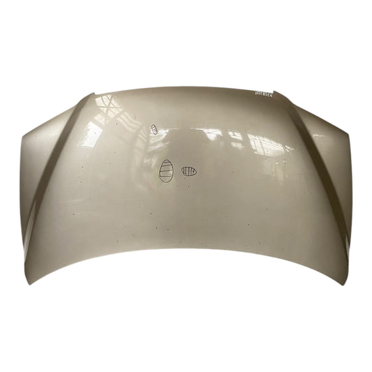 Cofano Anteriore FIAT MULTIPLA 2 Serie
