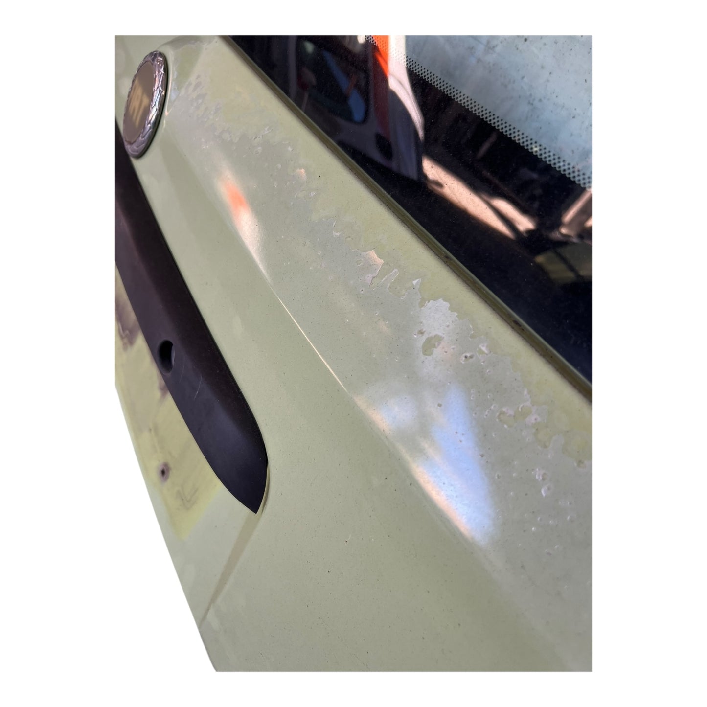 Portello Portellone Posteriore FIAT PANDA 2 Serie