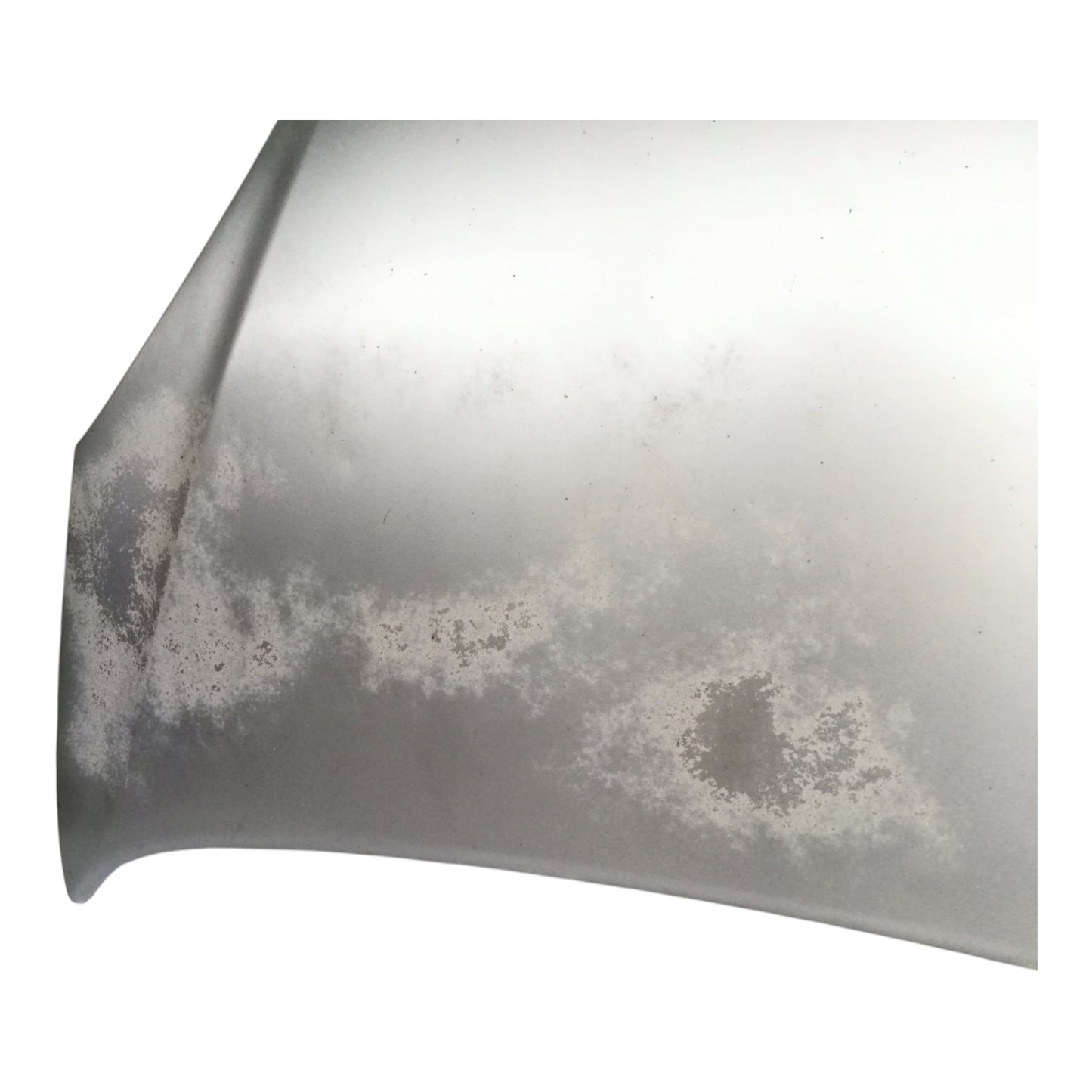 Cofano Anteriore CITROEN XSARA PICASSO