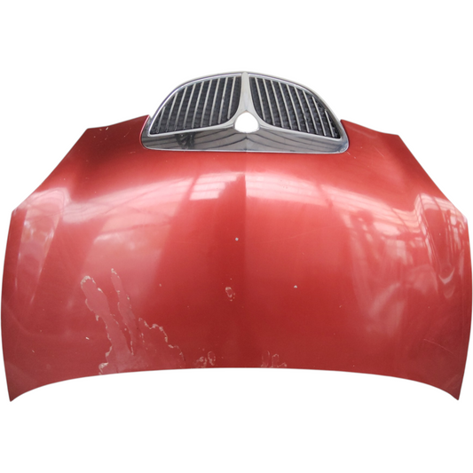 Cofano Anteriore LANCIA YPSILON 1 2 Serie 843