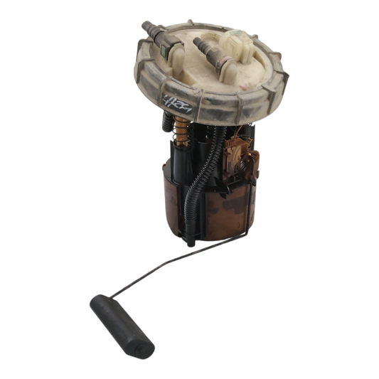 Pompa Carburante Galleggiante RENAULT SCENIC 1 Serie/MEGANE 1 Diesel