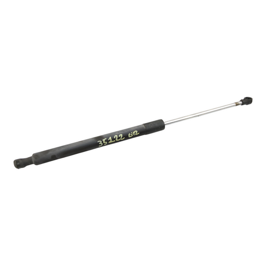 Ammortizzatore Portello Posteriore RENAULT CLIO 3 Serie