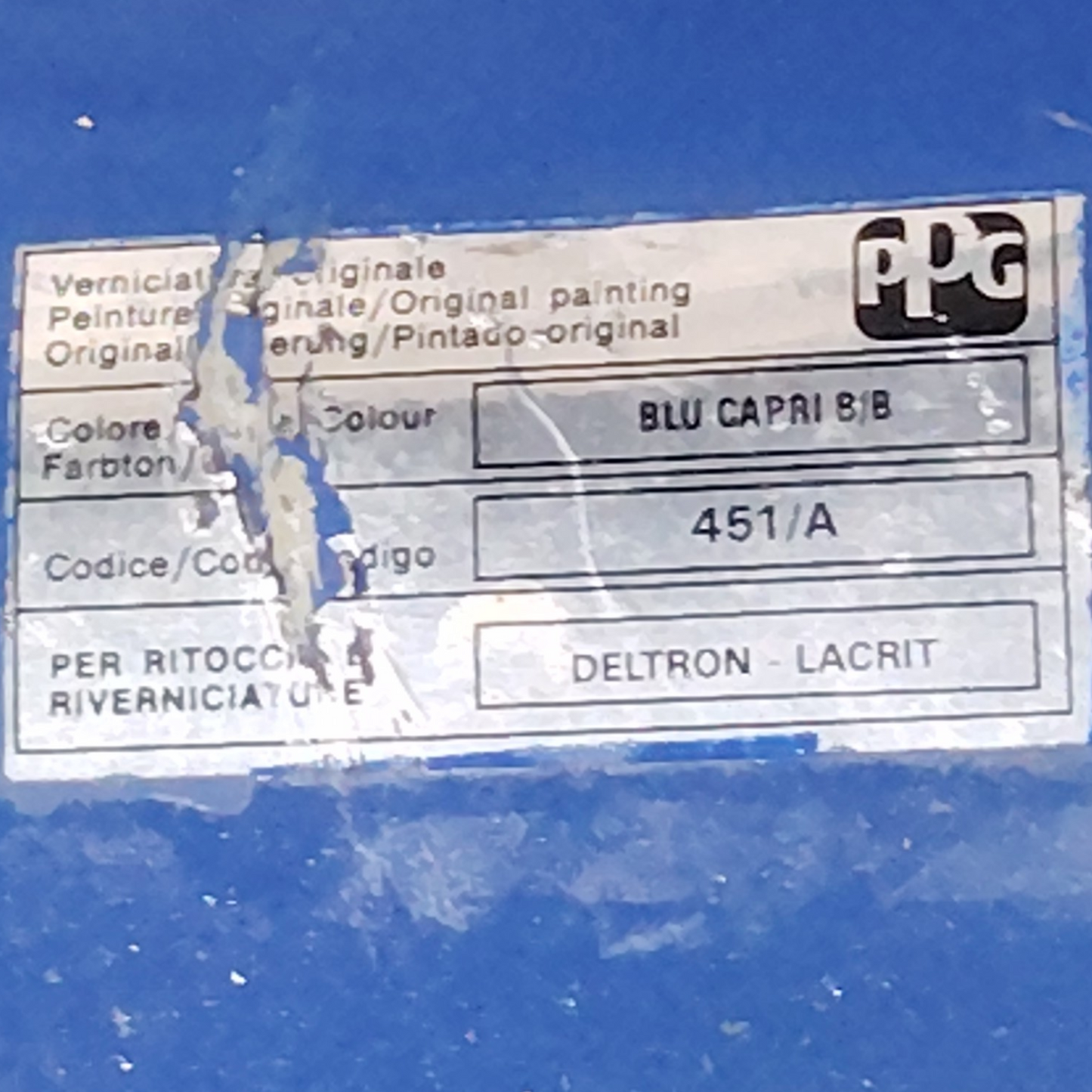 Portello Portellone Posteriore FIAT SEICENTO/600