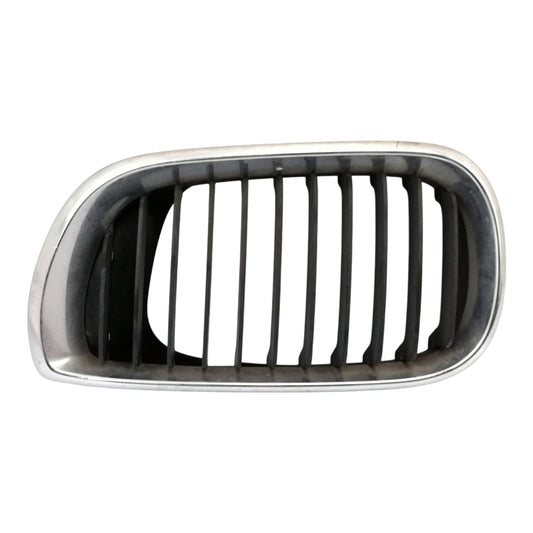 Griglia Radiatore Sinistro BMW SERIE 3 E46
