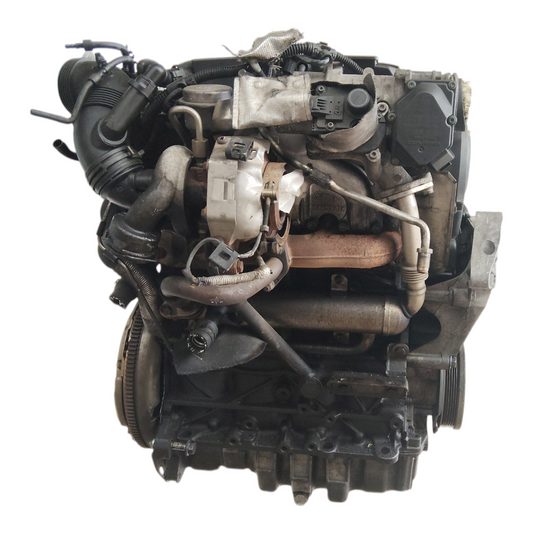 Motore BLS SEAT LEON 1P1 1.9 TDi 77 Kw 105 Cv