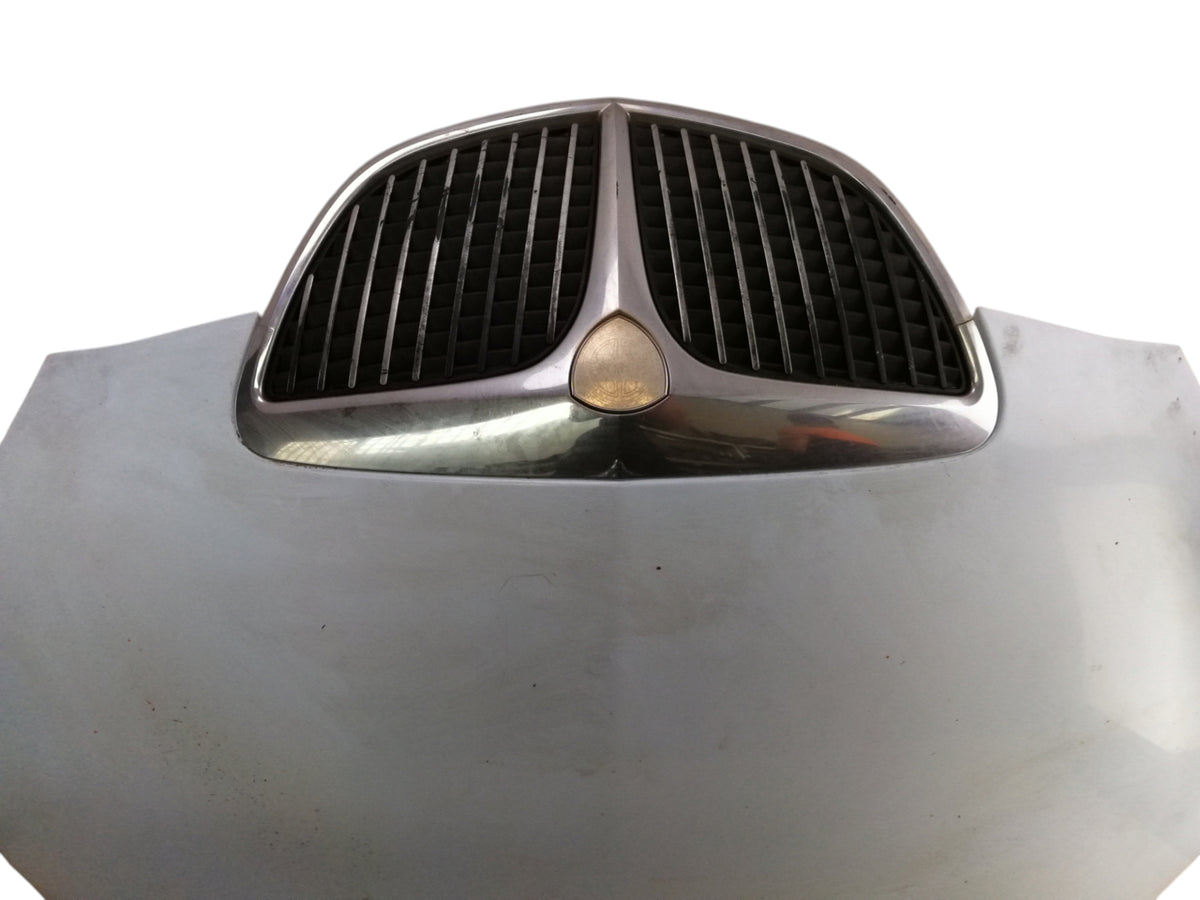 Cofano Anteriore LANCIA YPSILON 1 2 Serie 843
