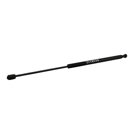 Ammortizzatore Portello Posteriore Sinistro FIAT MULTIPLA 2 Serie