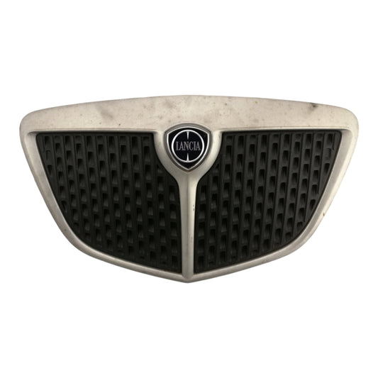 Griglia Radiatore LANCIA YPSILON 1 2 Serie 843