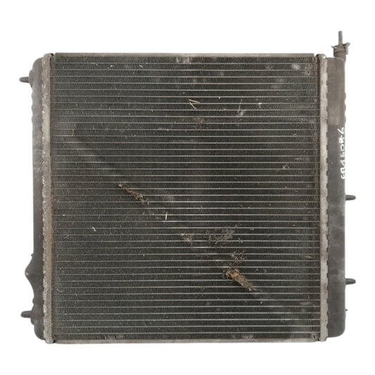 Radiatore Acqua Raffreddamento CITROEN C2/C3 1 Serie