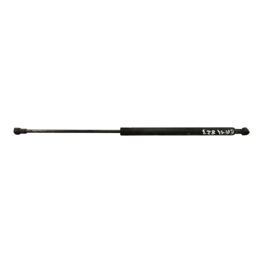 Ammortizzatore Portello Posteriore Sinistro FIAT PANDA 2 Serie