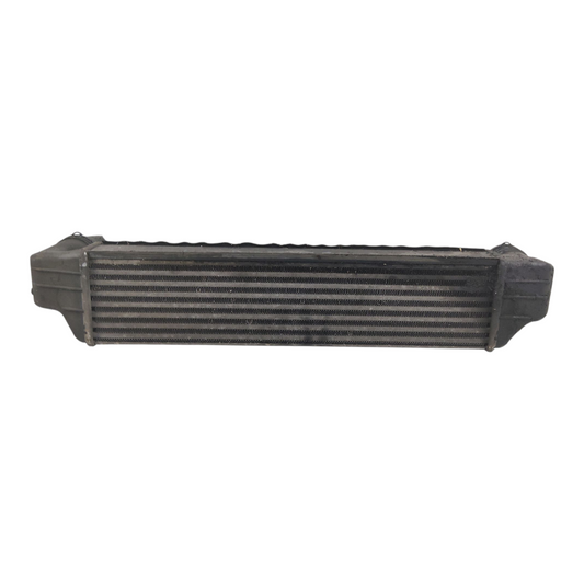 Intercooler Scambiatore Calore BMW X3 E83/SERIE 3 E46 Diesel