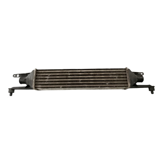 Intercooler Scambiatore Calore FIAT GRANDE PUNTO/PUNTO EVO 1.3 Diesel