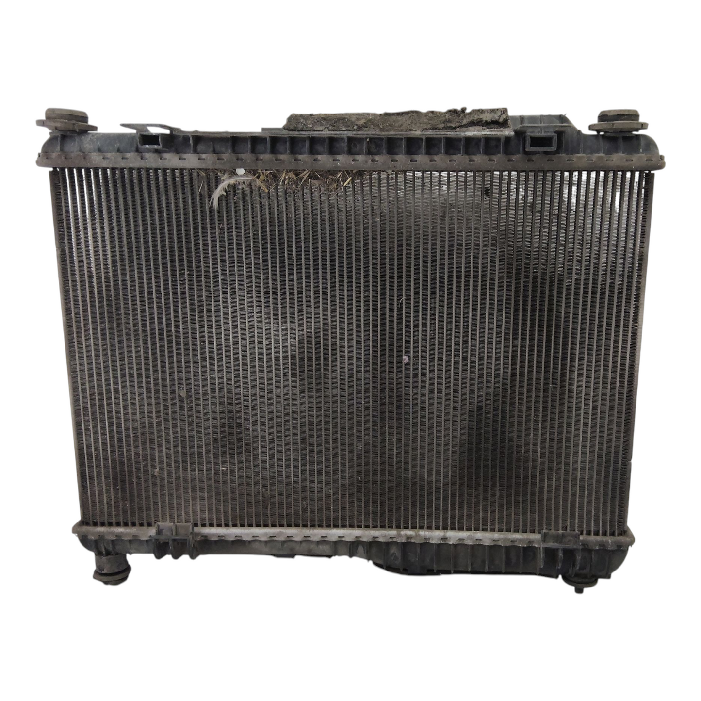 Radiatore Acqua Raffreddamento FORD FIESTA 6 Serie Benzina GPL