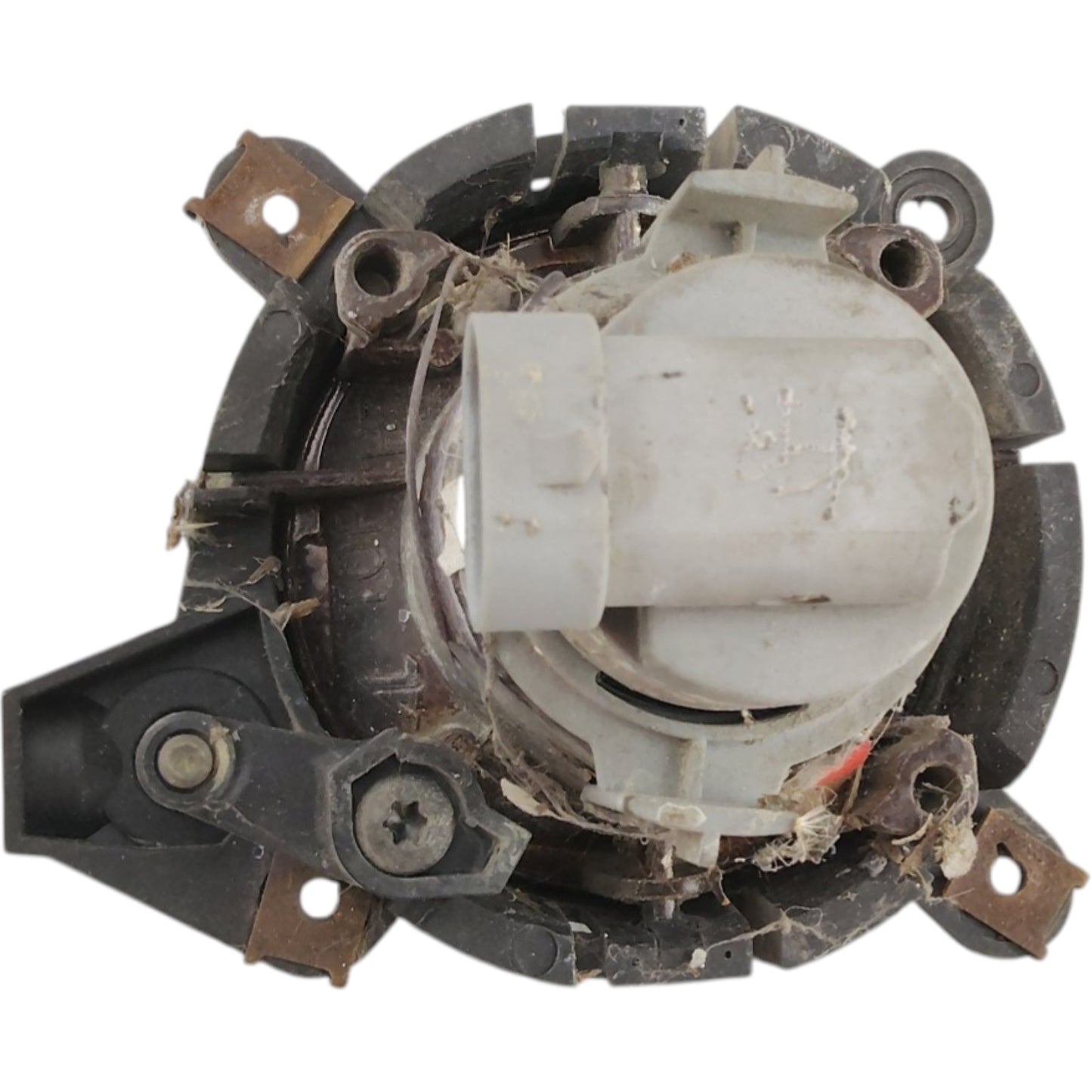 Fendinebbia Anteriore Sinistro MINI COOPER ONE R50 R52