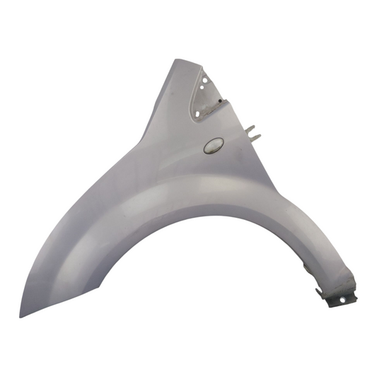 Parafango Anteriore Sinistro CITROEN C2