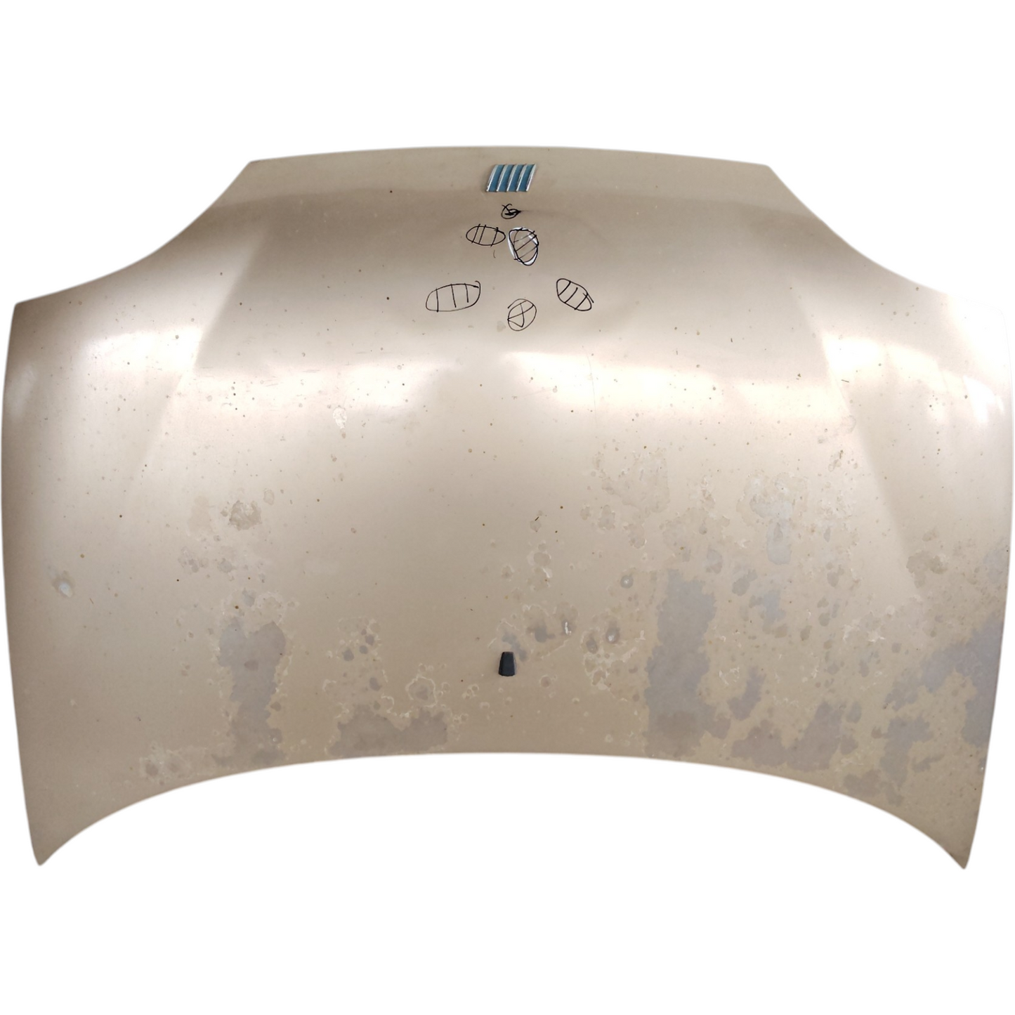 Cofano Anteriore FIAT SEICENTO/600 Berlina