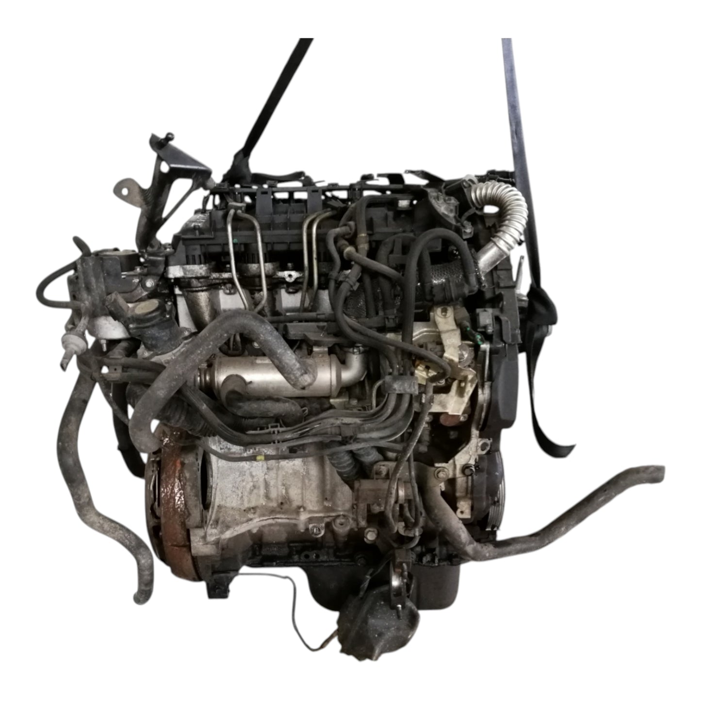 Motore G8DB FORD C-MAX 1 2 Serie/FOCUS 2 3 Serie 1.6 TDCi 80 Kw