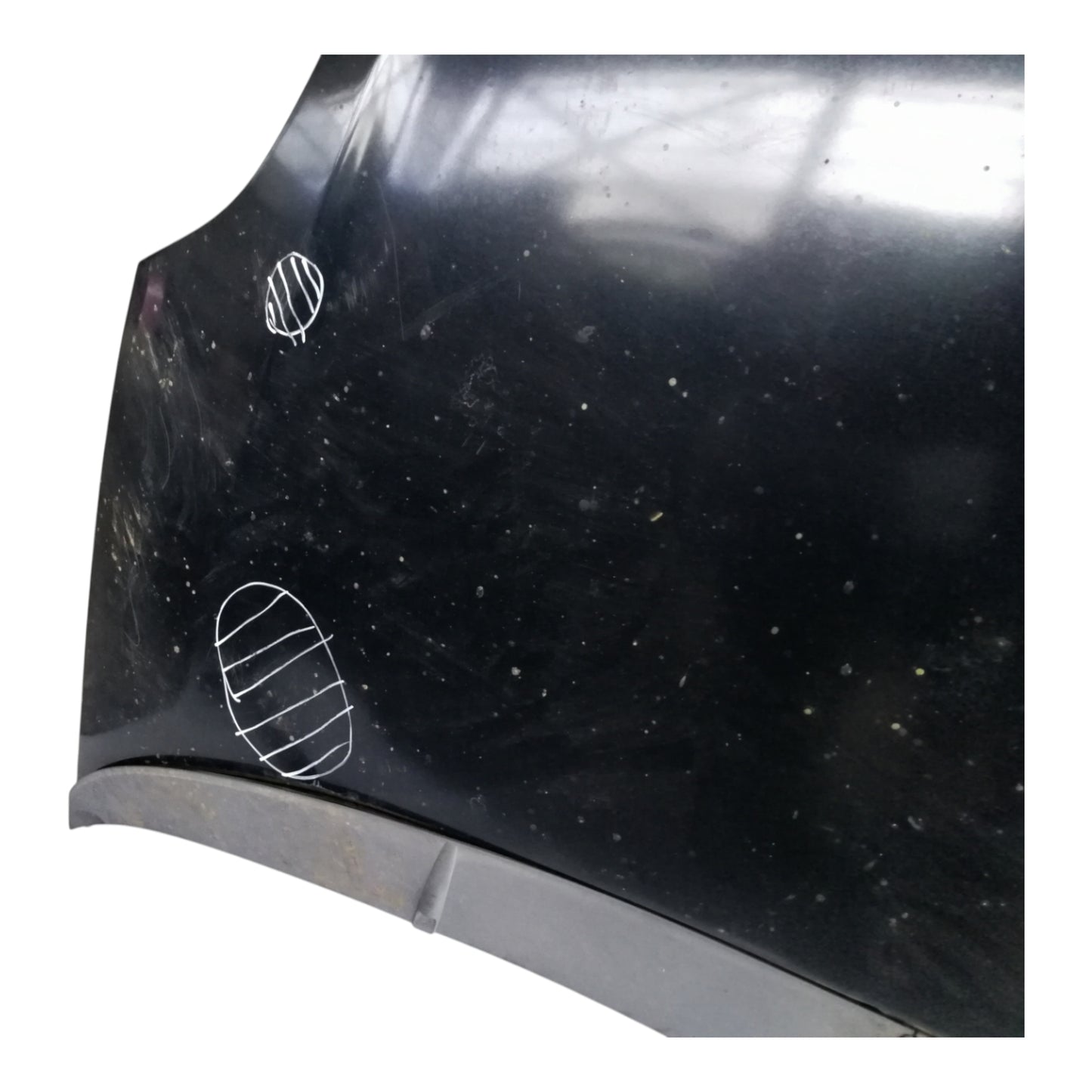 Cofano Anteriore FIAT GRANDE PUNTO/PUNTO 3 Serie/PUNTO EVO