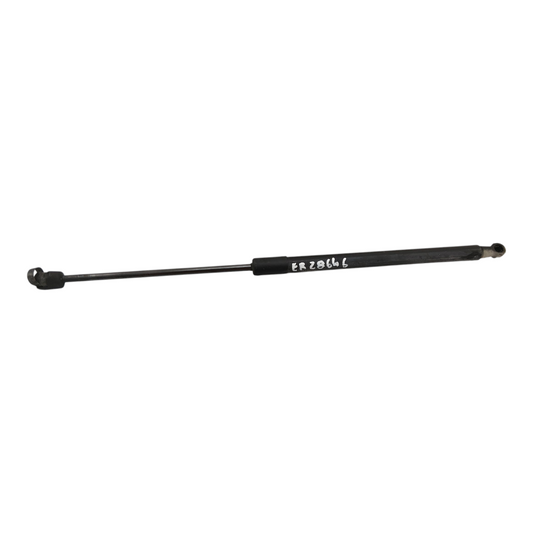 Ammortizzatore Portello Posteriore SKODA FABIA 542