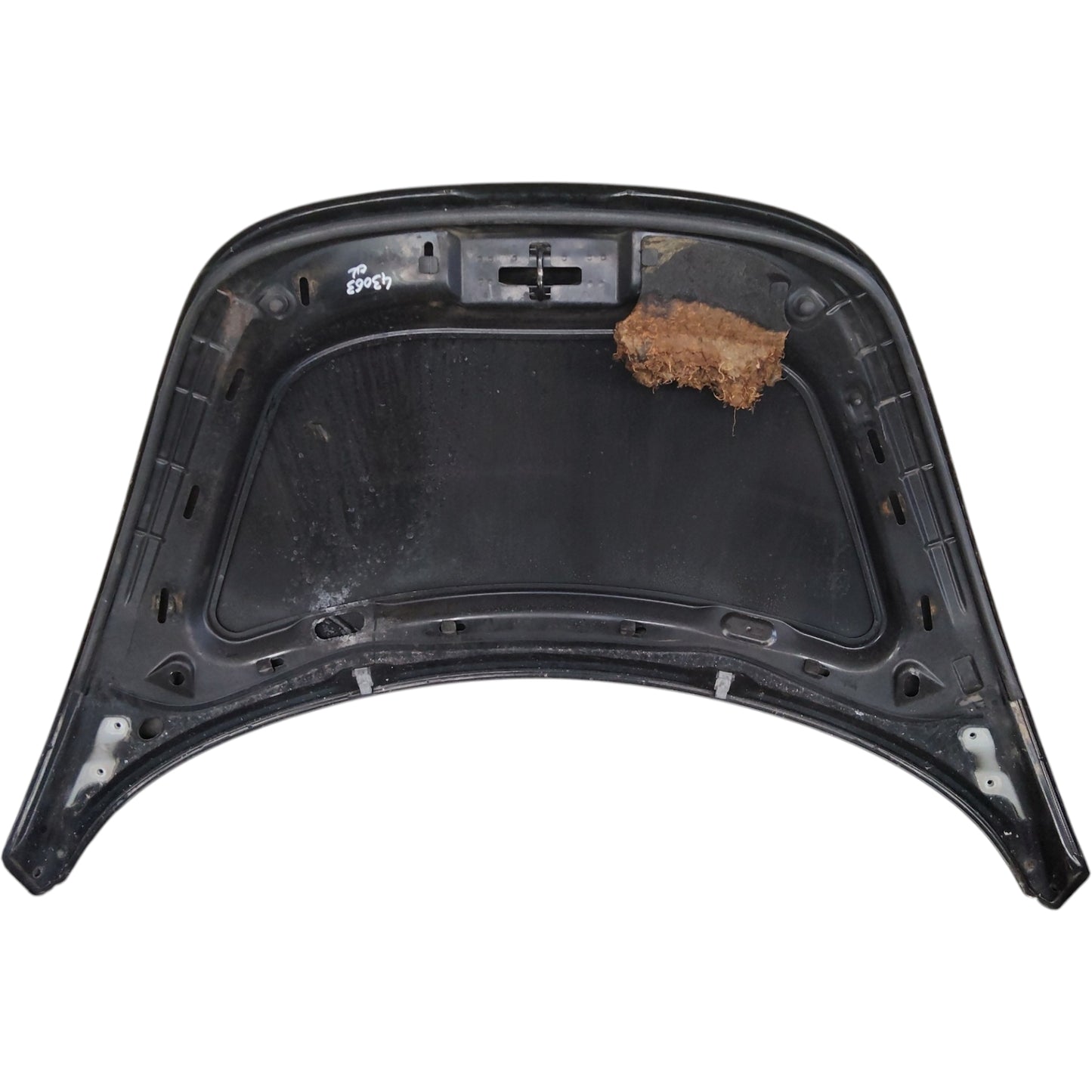 Cofano Anteriore VOLKSWAGEN NEW BEETLE 1 Serie Pre-Restyling