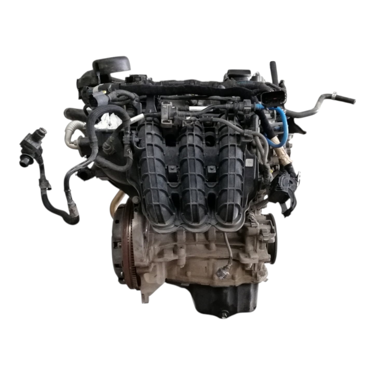 Motore 46341162 FIAT PANDA 312 3 Serie/500 2 Serie 1.0 Hybrid