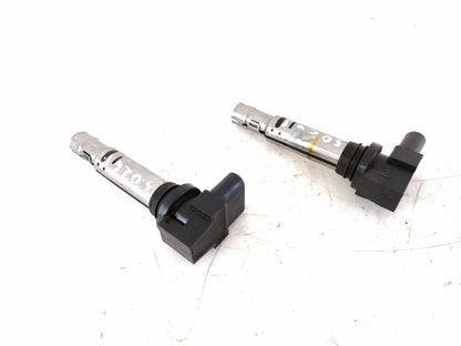 Coppia bobine accensione seat ibiza 6l1 ( 2001 > 2009 ) 036905715h