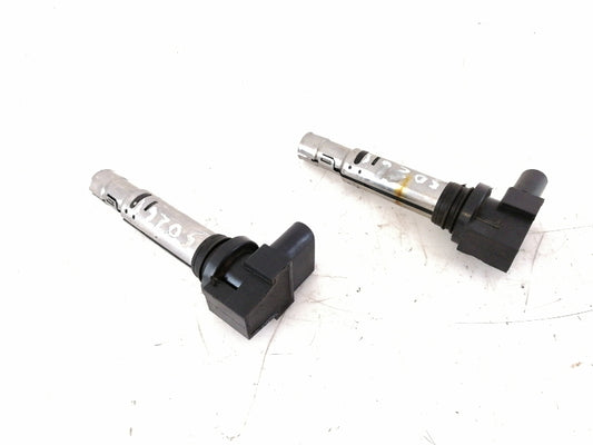 Coppia bobine accensione seat ibiza 6l1 ( 2001 > 2009 ) 036905715h