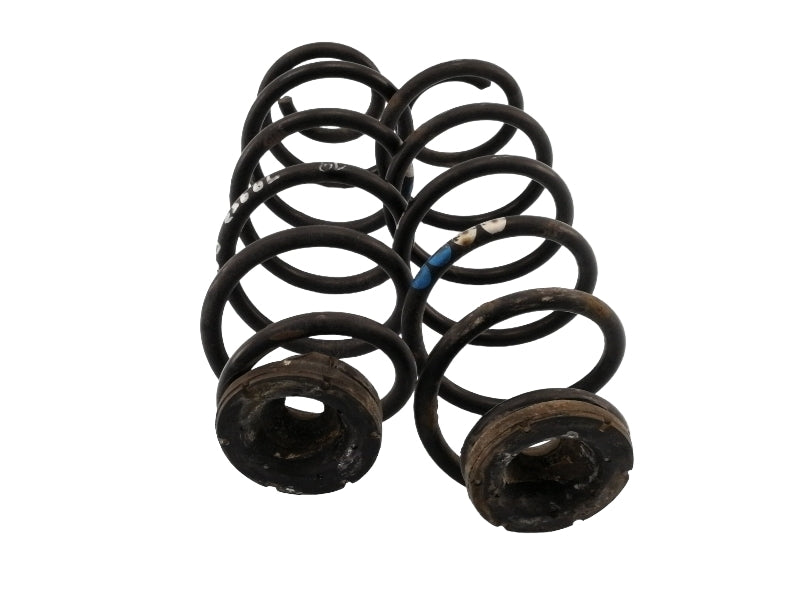 Molle ammortizzatori posteriori volkswagen golf 4 (1997 - 2003) coppia