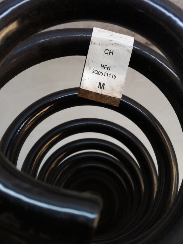 Molle ammortizzatori posteriori volkswagen passat (2014 in poi) coppia