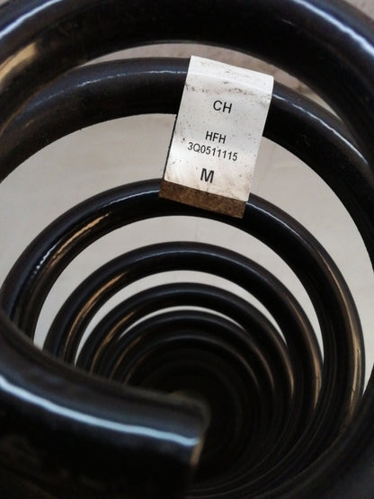 Molle ammortizzatori posteriori volkswagen passat (2014 in poi) coppia