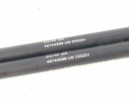 Ammortizzatori portellone posteriore fiat punto ( 1999 > 2009 ) coppia