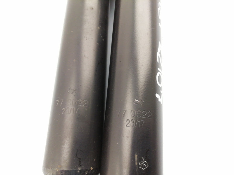 Ammortizzatori posteriori fiat doblo' 1.6 (2005 - 2009) sinistro + destro