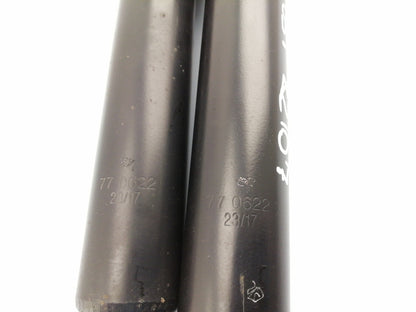 Ammortizzatori posteriori fiat doblo' 1.6 (2005 - 2009) sinistro + destro